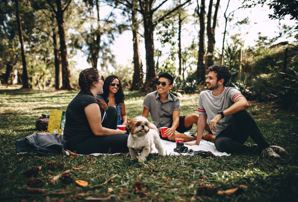 Un gruppo di amici durante un picnic