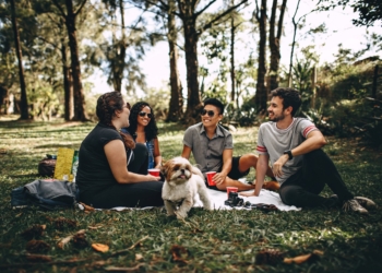 Un gruppo di amici durante un picnic