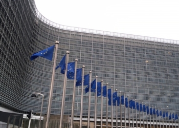 Tirocini Commissione Europea