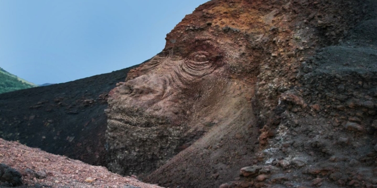 salvo puccio pareidolia