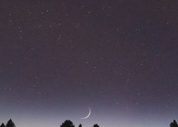 Cometa neowise e la Luna