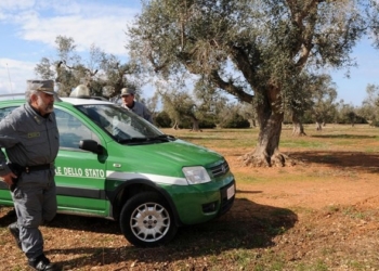 Corpo Forestale Sicilia