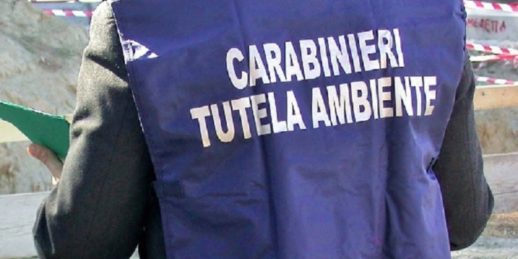 carabinieri tutela ambientale