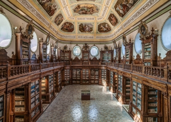 biblioteca ursino recupero