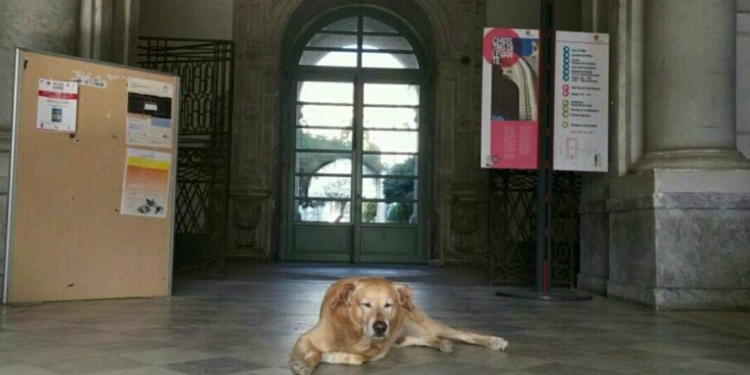 melo cane monastero benedettini