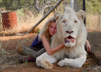 mia e il leone bianco