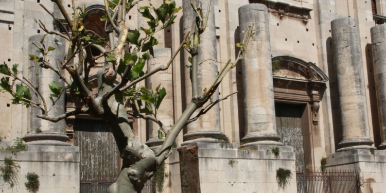 piazza dante catania