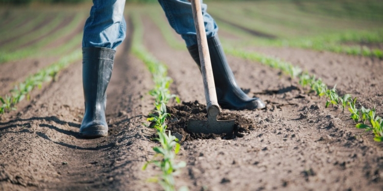 agricoltori