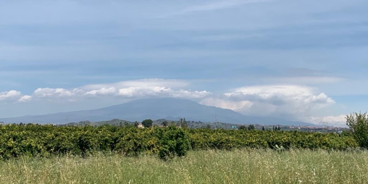 catania bando lotti