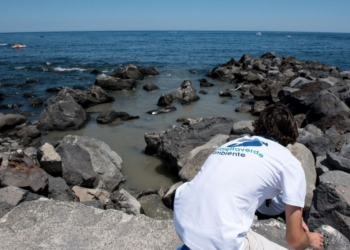 acutezza spiaggia