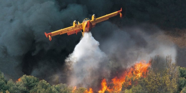 incendi sicilia