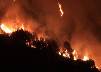 incendi sicilia stato emergenza