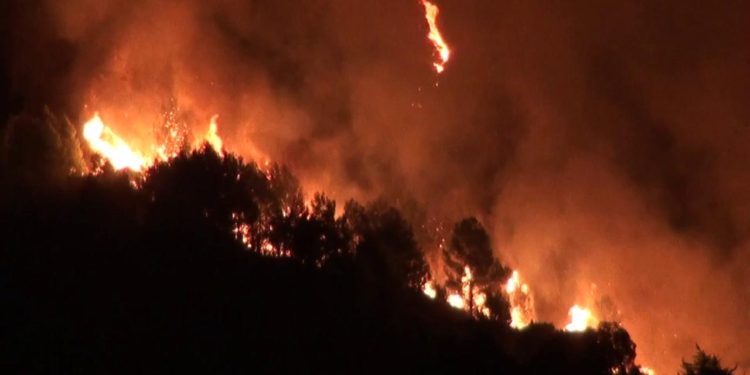 incendi in sicilia