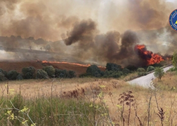 incendi sicilia