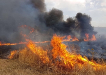 fiamme incendio sicilia