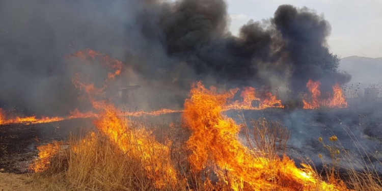 incendi sicilia