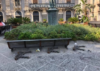 Panchina distrutta in piazza università a Catania