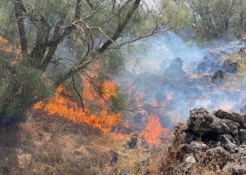 Incendio nel Parco dell'Etna