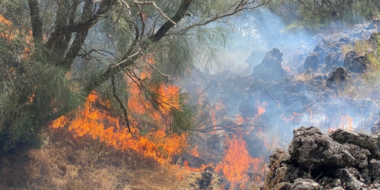 incendi catania parco etna