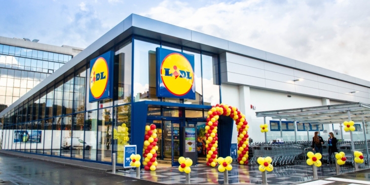 lavoro catania lidl