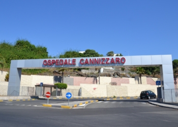 Cannizzaro catania ospedale