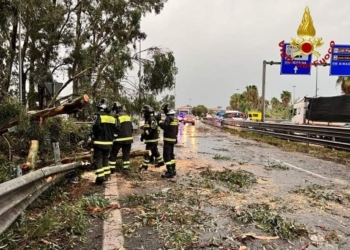 vigili del fuoco interventi