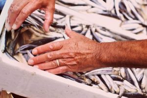 pesce mercato catania