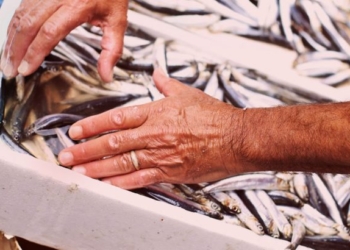 pesce mercato catania