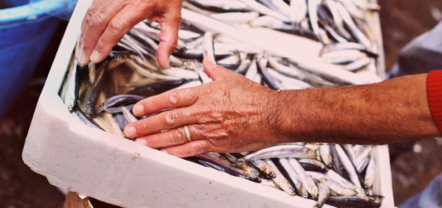 pesce mercato catania