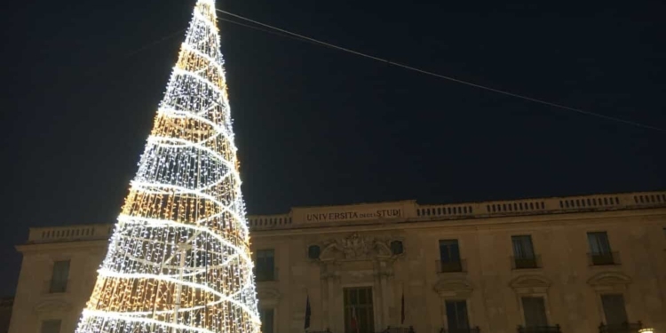 albero piazza università