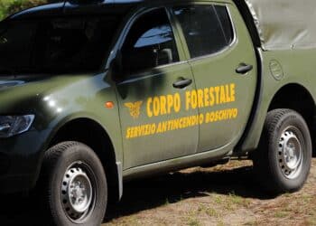 Guardia-forestale