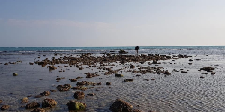 bassa marea sicilia