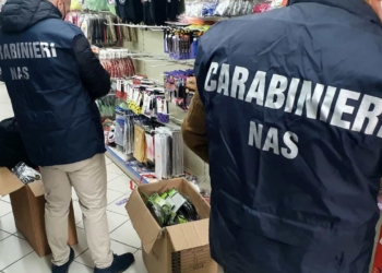 carabinieri nas carnevale