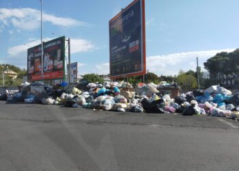 Foto scattata in zona Circonvallazione.