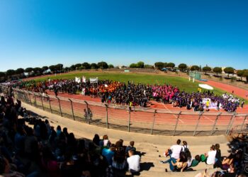 palio d'ateneo