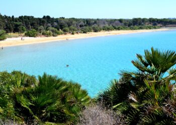 spiaggia del gelsomineto