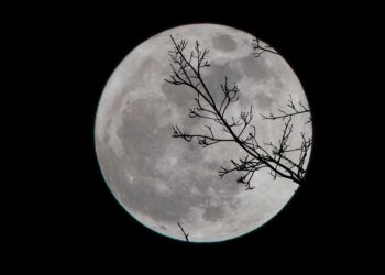 Luna Piena del Cervo