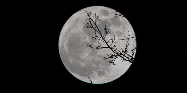 luna piena del cervo