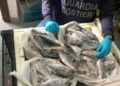 pesce sequestrato