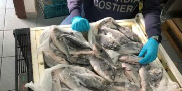 pesce sequestrato