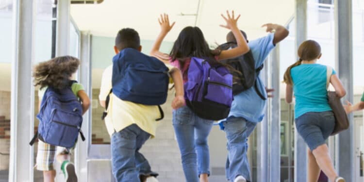 scuola elementare