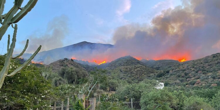 incendio stromboli