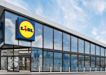 lavoro catania lidl