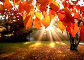 Autunno sole