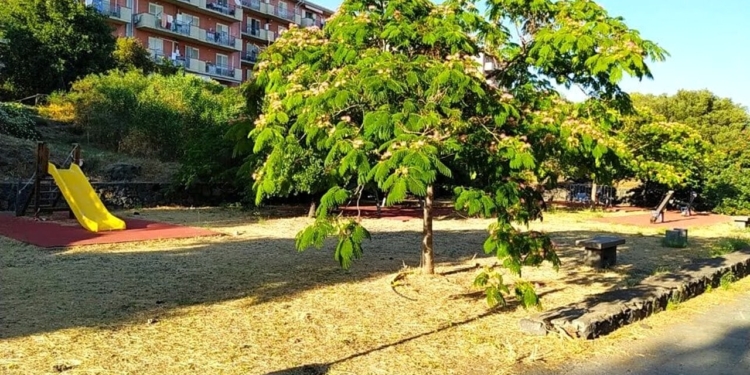 parco degli ulivi