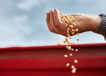 Crisi alimentare globale