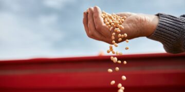 Crisi alimentare globale