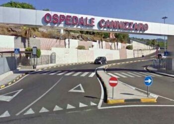 ospedale-cannizzaro