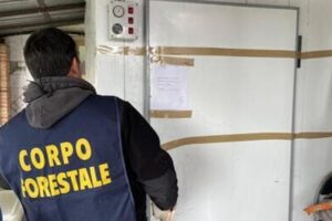 Caseificio abusivo Catania- Sequestri Catania- Controlli Catania