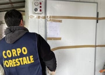 Caseificio abusivo Catania- Sequestri Catania- Controlli Catania